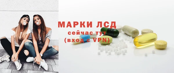 прущие грибы Абинск
