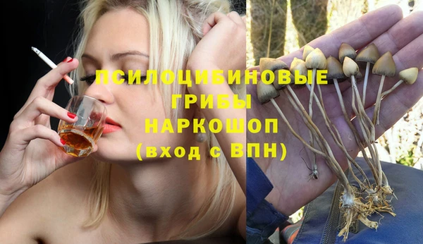 ГАЛЛЮЦИНОГЕННЫЕ ГРИБЫ Абдулино