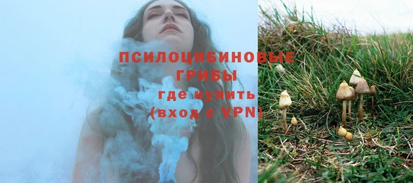 прущие грибы Абинск