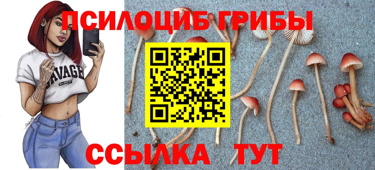 ГАШ  Дивногорск  Меф МЯУ МЯУ   Вход с VPN  Меф  APVP СОЛЬ кристаллы  ГАШИШ  КОКАИН  Марихуана 
