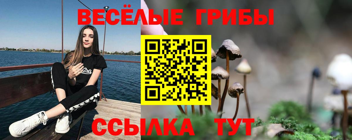 Галлюциногенные грибы ЛСД  Псилоцибиновые грибы Magic Shrooms  Дивногорск  Вход с VPN 